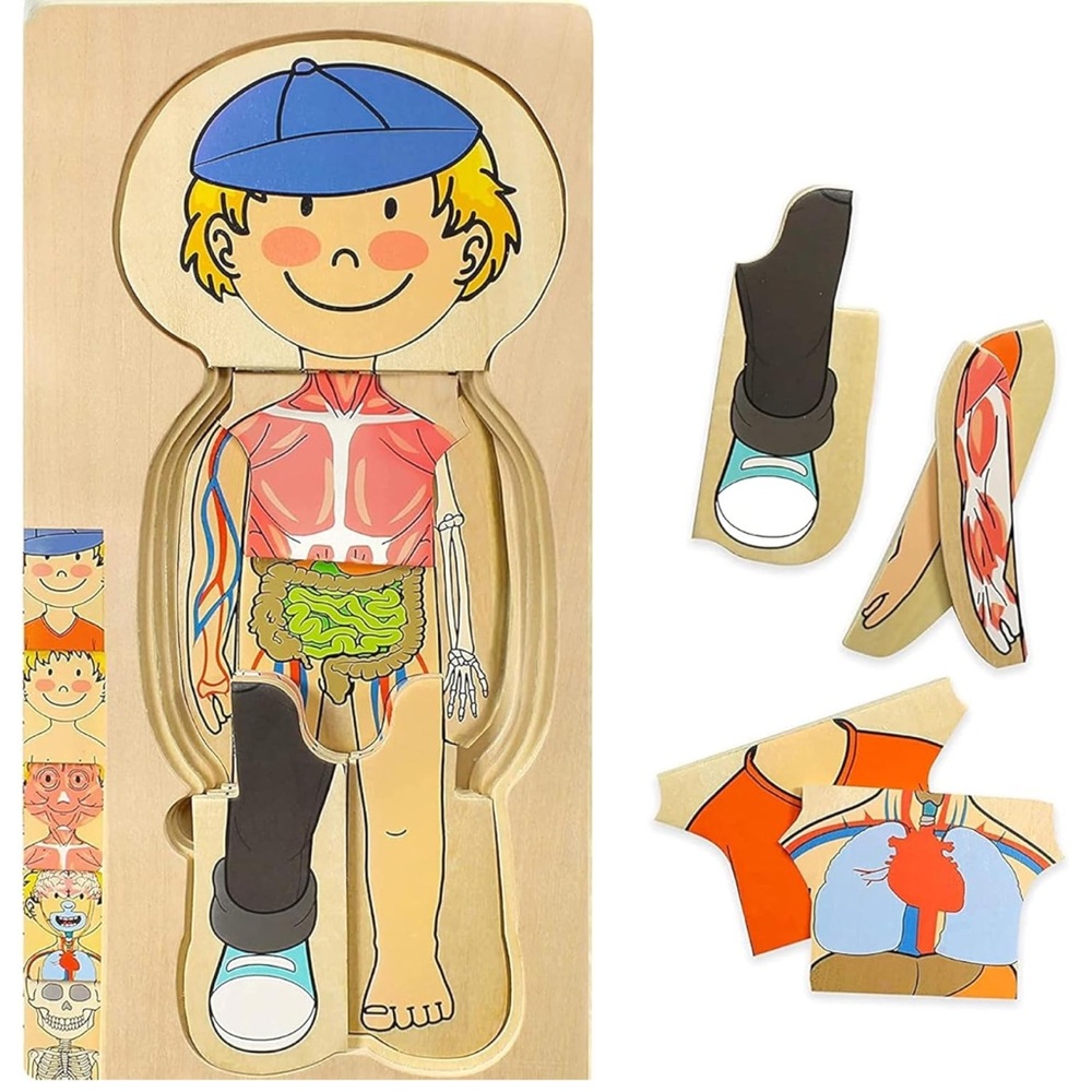 Boy Anatomy Puzzle Play Set Skeleton Toys For Kids- NEW